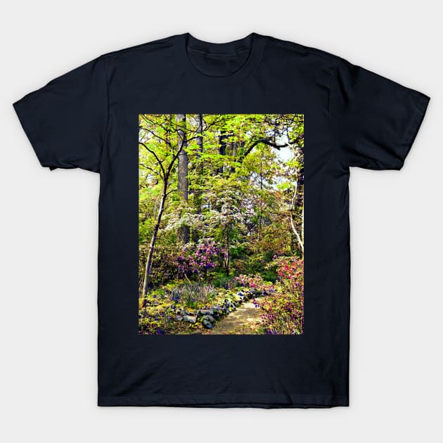 Spring Woods T-Shirt by SusanSavad